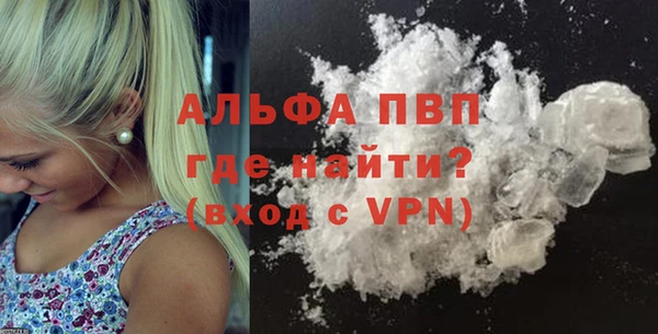 прущие грибы Абдулино
