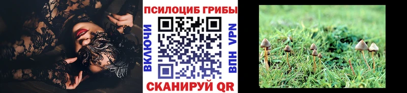 Псилоцибиновые грибы ЛСД  Ангарск 