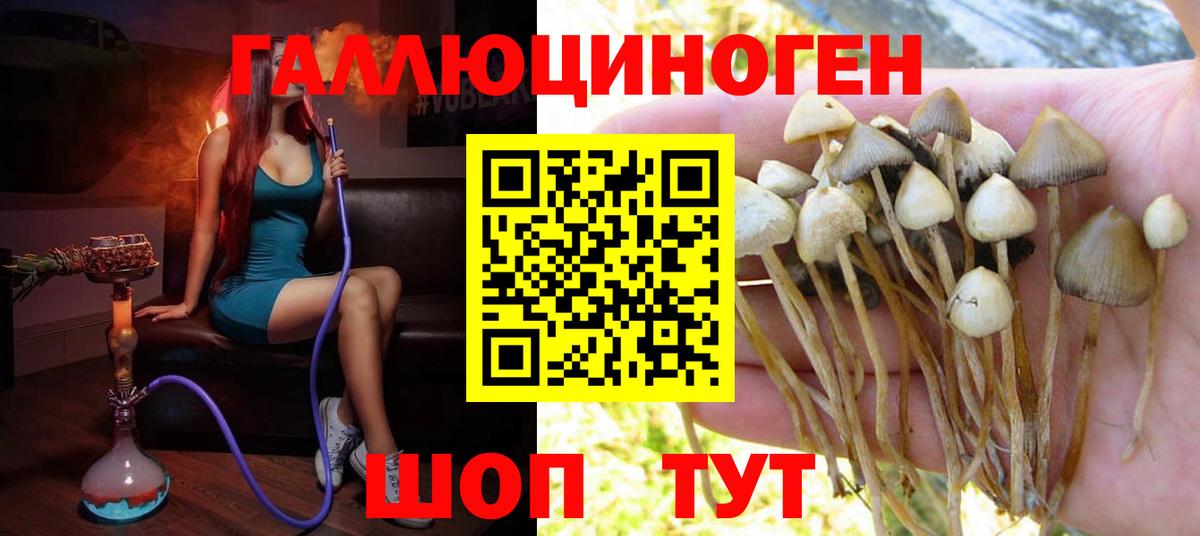 Псилоцибиновые грибы GOLDEN TEACHER Ангарск