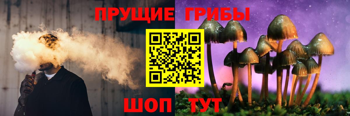 Галлюциногенные грибы мухоморы  Галлюциногенные грибы GOLDEN TEACHER  Вход с VPN  Ангарск 