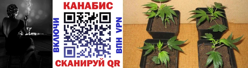 Марихуана Bruce Banner Ангарск